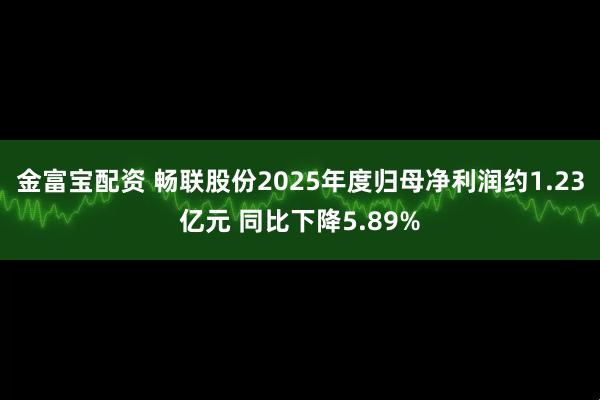 金富宝配资 畅联股份2025年度归母净利润约1.23亿元 同比下降5.89%
