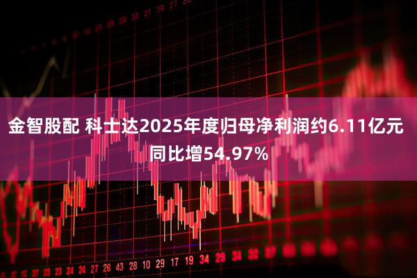 金智股配 科士达2025年度归母净利润约6.11亿元 同比增54.97%